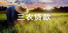 草根当家助力农村贷款 打破传统农村金融服务误区