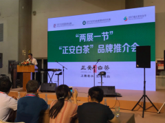 正安白茶飘香千年 成富民摇钱树