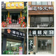 宠物老兵说：宠物店加盟和大小班培训，好承诺能实现才是硬道理！