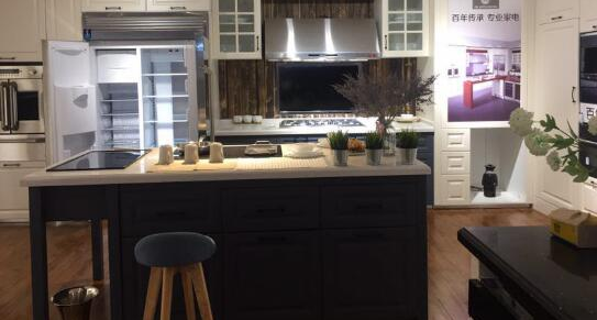 北美第一厨电品牌GE Appliances入华销售  