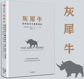 “灰犀牛”将如何窃取你的财富？