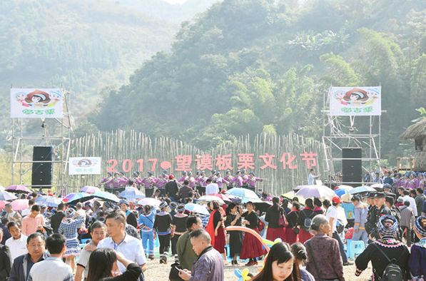 贵州望谟首届“板栗文化节”开幕 最美布依风情