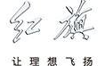 车企入局网约车 一汽红旗推出旗妙出行